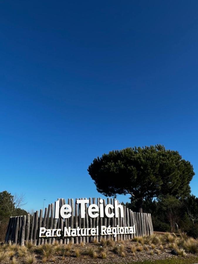 La Cabane De Carol Au Coeur Du Bassin D'Arcachon Le Teich Exterior photo